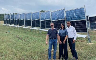 UMBRIA: ENERGIA, A COLFIORITO LENTICCHIE E ZAFFERANO CRESCONO ALLA LUCE DEL PRIMO AGRIVOLTAICO ‘OPEN LABS’ D’ITALIA